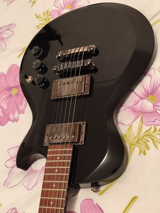 Canon 700D, Ibanez ART