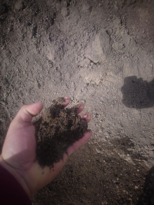 Czarnoziem, ziemia ogrodowa