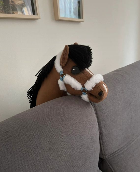 Sprzedam hobby horse IGR