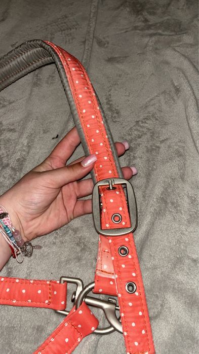 Kantar eskadron nici peachy