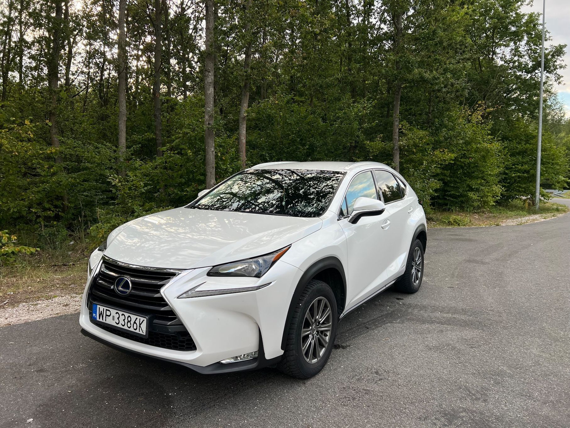Lexus NX Lexus NX 300h, salon Polska, bez wkładu, prywatnie