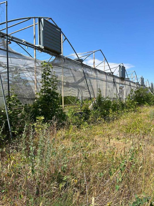 Продам ізраїльські теплиці в Київському районі
