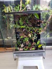 Terrarium tropikalne gekon 40x40x60