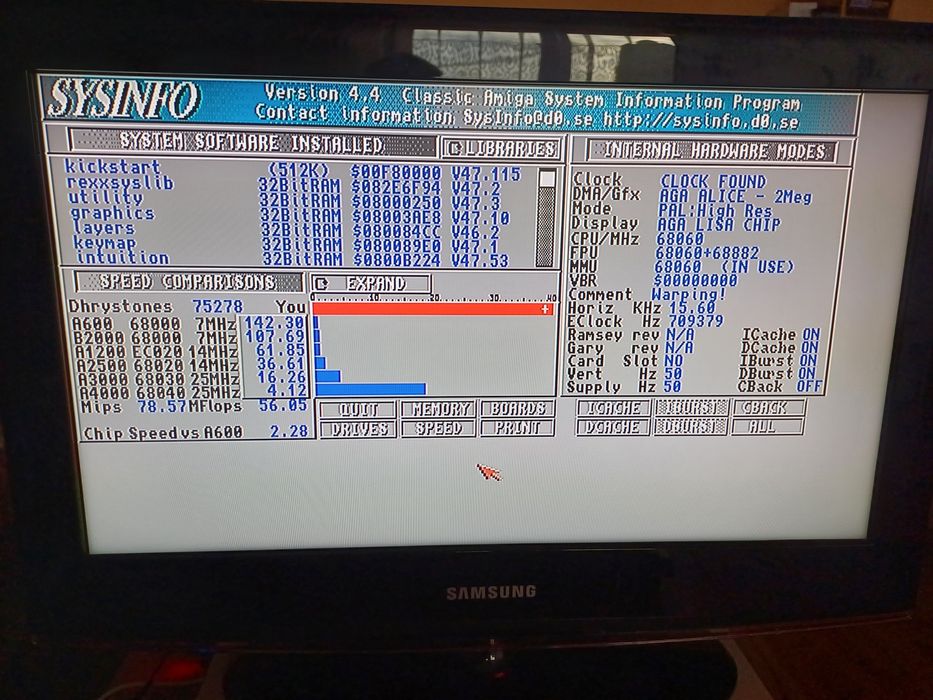 Amiga 4000/060 rev6 100mhz  TF4060 RAM 256MB