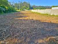 Oportunidade de Investimento Agrícola: Terreno de 1.800 m² com Pote...