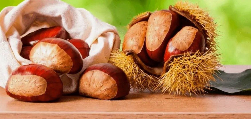 Castanhas dois Calibres