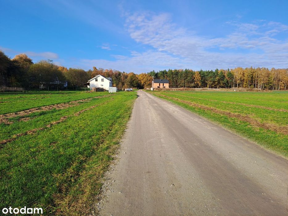 Działka budowlana przy lesie w miejscowości Skałowo, gm. Kostrzyn