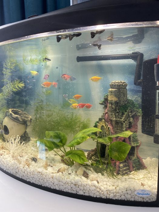 Акваріум 62л новий стан