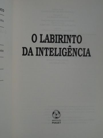 O Labirinto da Inteligência de Daniel Dubois