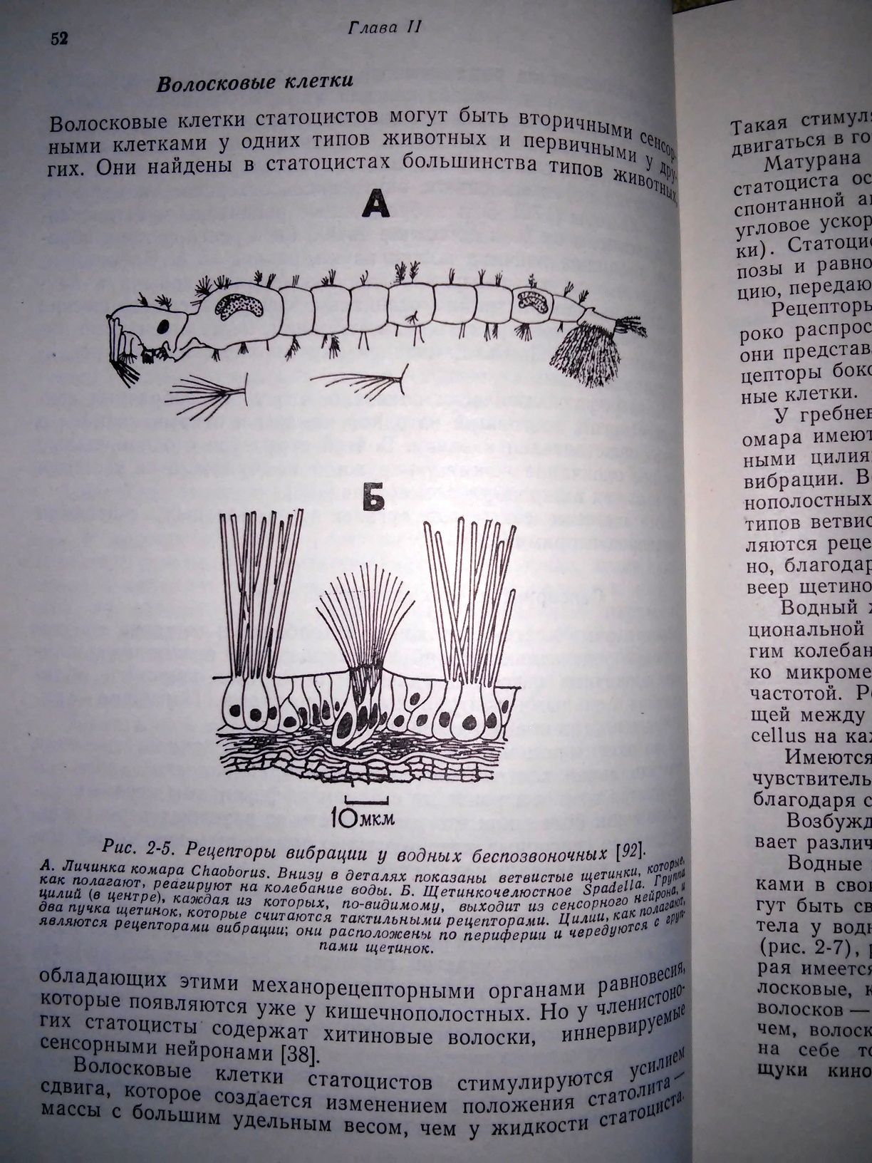 Тамар Основы сенсорной физиологии 1976