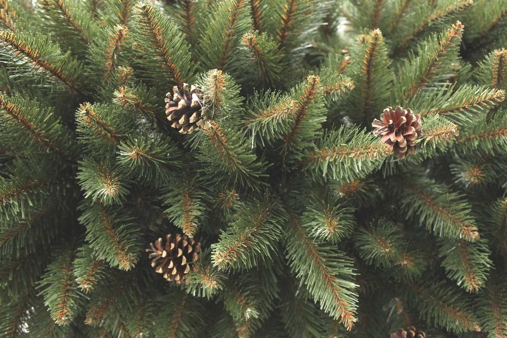 Choinka sztuczna ŚWIERK GÓRSKI Z SZYSZKAMI jak prawdziwy gęsty 220cm