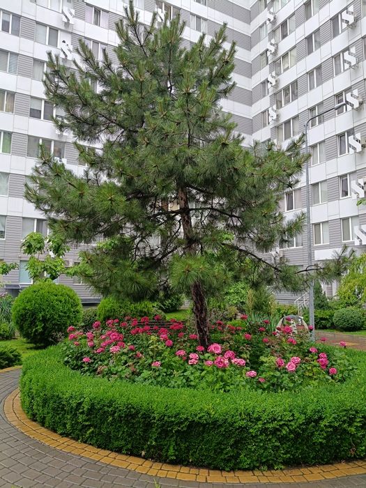 Посуточно и почасово 2 квартира современный дом ул. Берёзовая 2/2-а