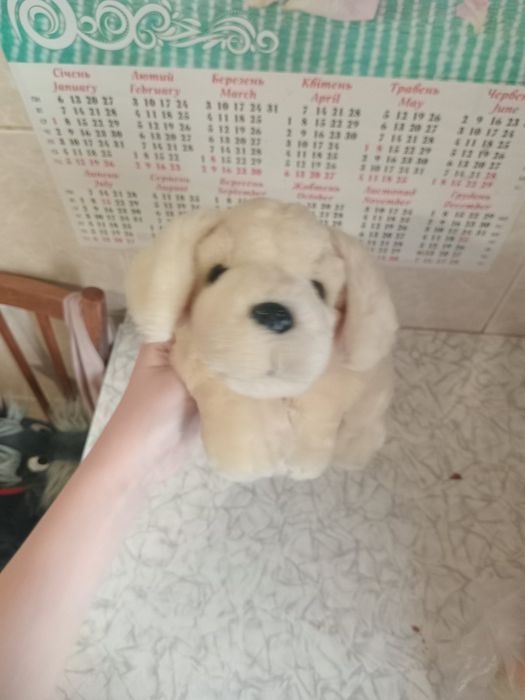 Продам м'якого собаку від  Keel Toys