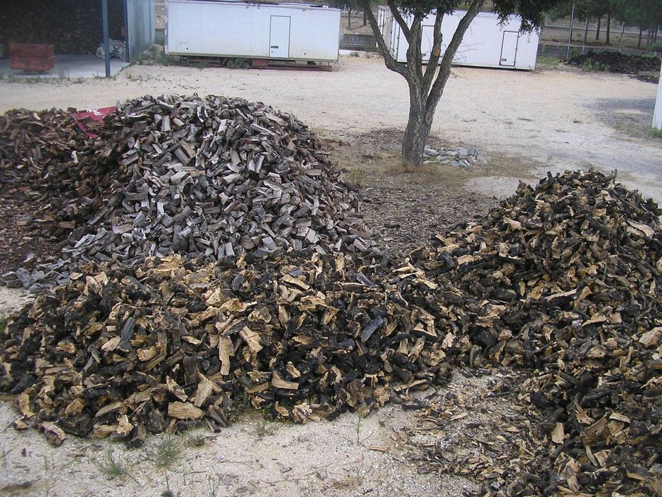 lenhas secas e enxutas