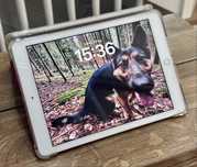 Tablet Apple iPad 6th gen. 128GB Cellular SIM