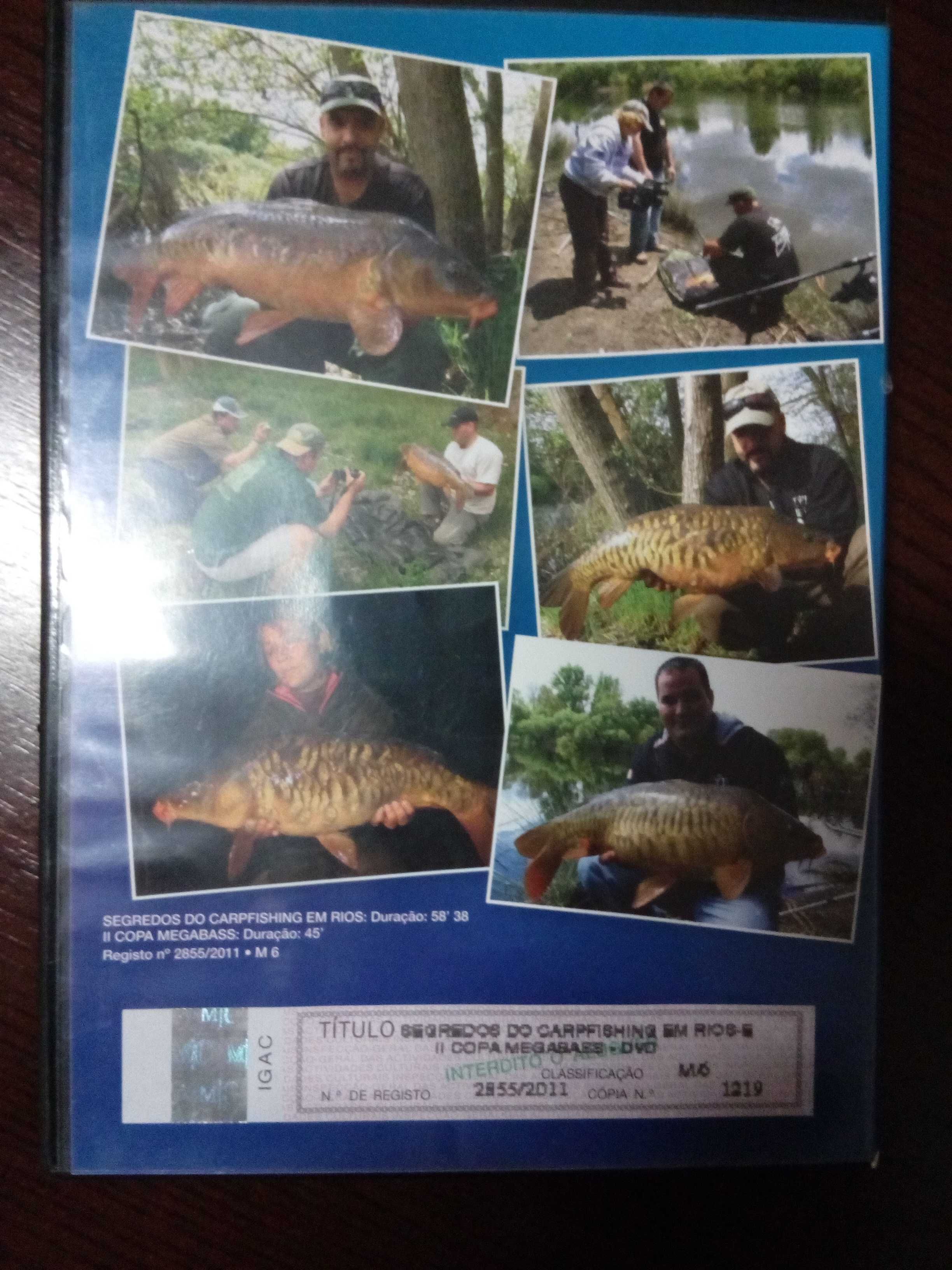 DVD Segredos do carpfishing em rios