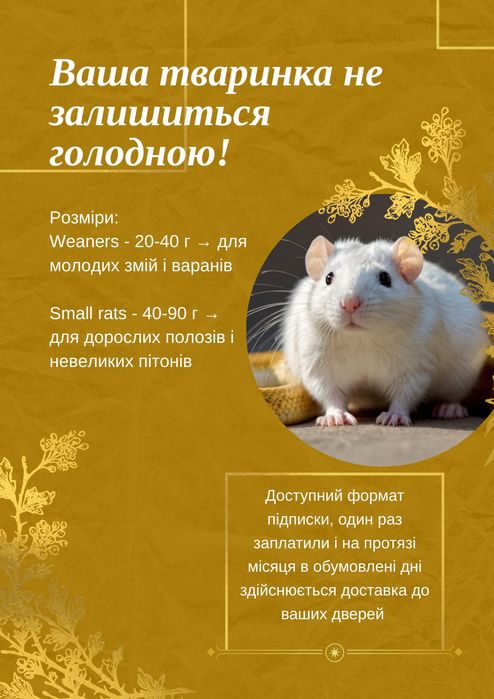 Крысы , мыши кормовые. Щури , миші кормові. Корм для змій