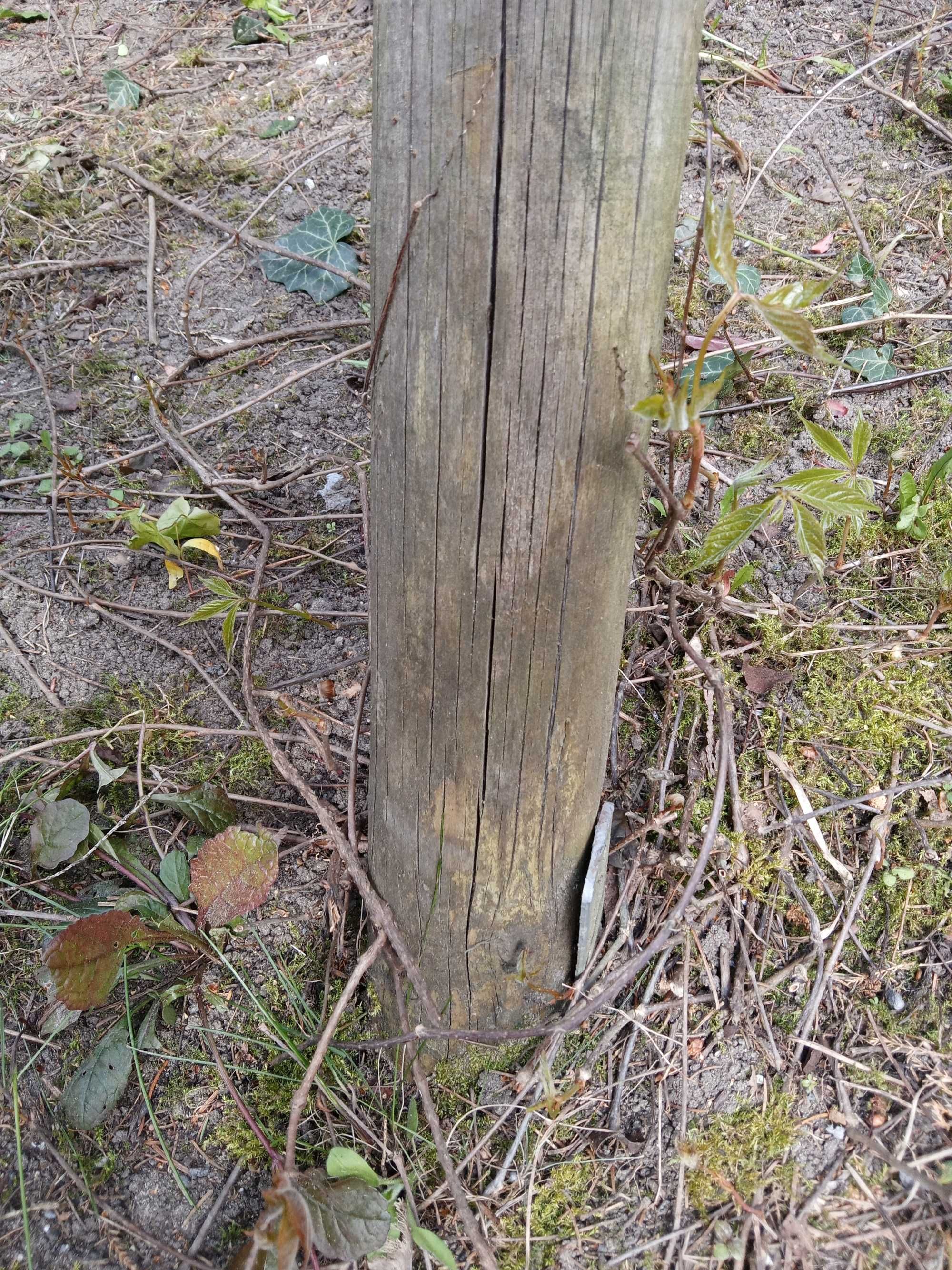 Drewniana huśtawka ogrodowa podwójna