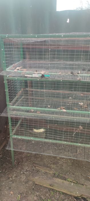 Продам клетки для птици