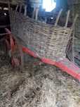 Carro de bois antigo