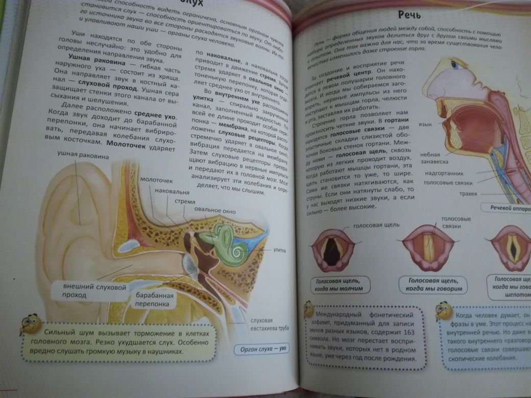 Интересный мир.Энциклопедия моя первая книга о человеке