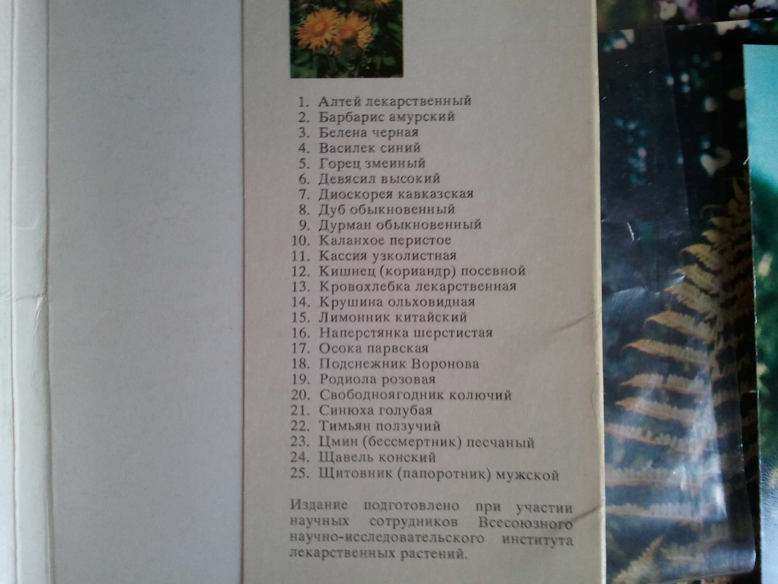 Набор открыток "Лекарственные растения" СССР