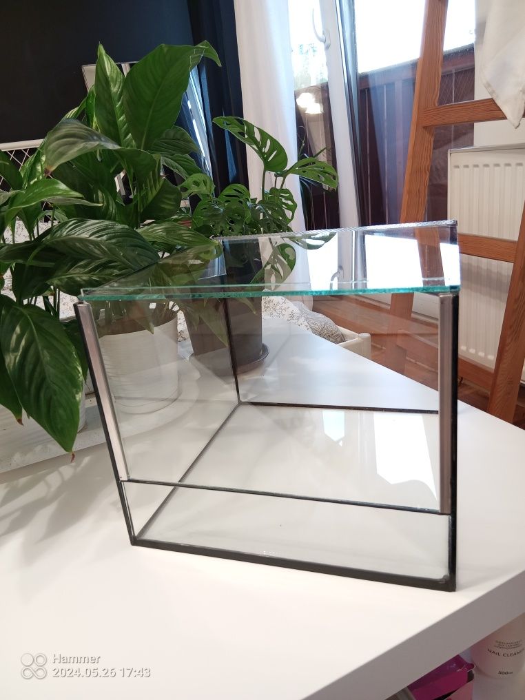 Nowe terrarium dla pająka, chrząszczy, skorpiona itp