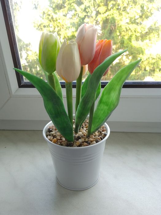 Kwiaty tulipany dekoracja w doniczce