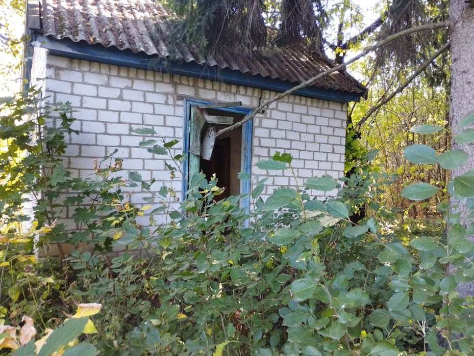 Допомога будинок