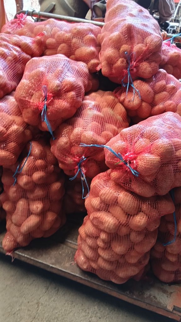 Sacos de Batatas (Agria)