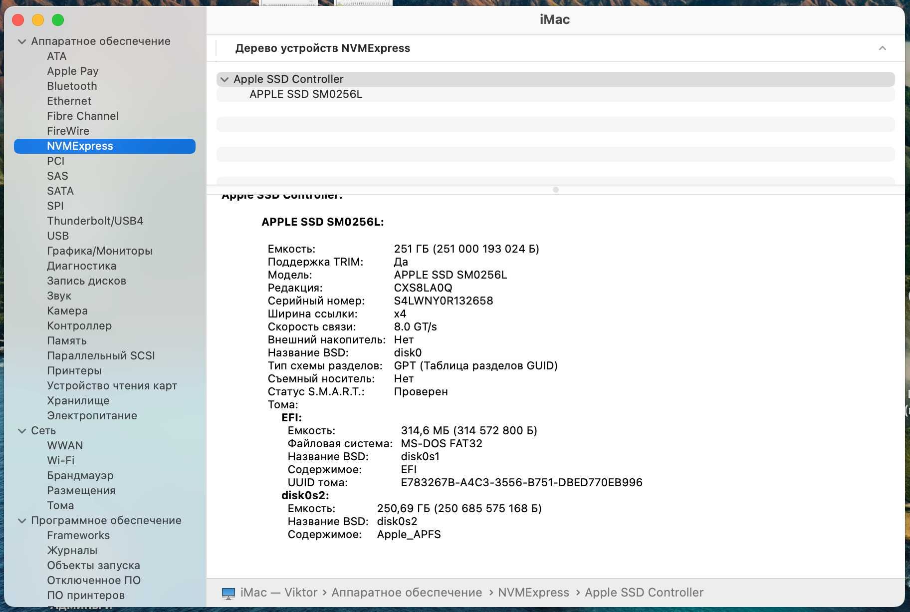 Apple 256Gb NVMe SSD Samsung MZ-KPW2560/0A7 iMac 2017 2019