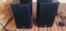 Yamaha e 700   monitor audio Radius 180
