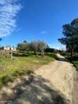 Quinta