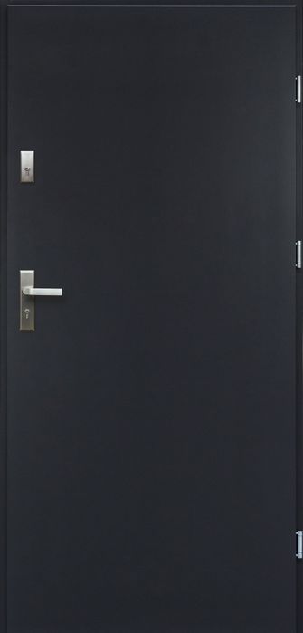Drzwi zewnętrzne Artemida  antracyt .