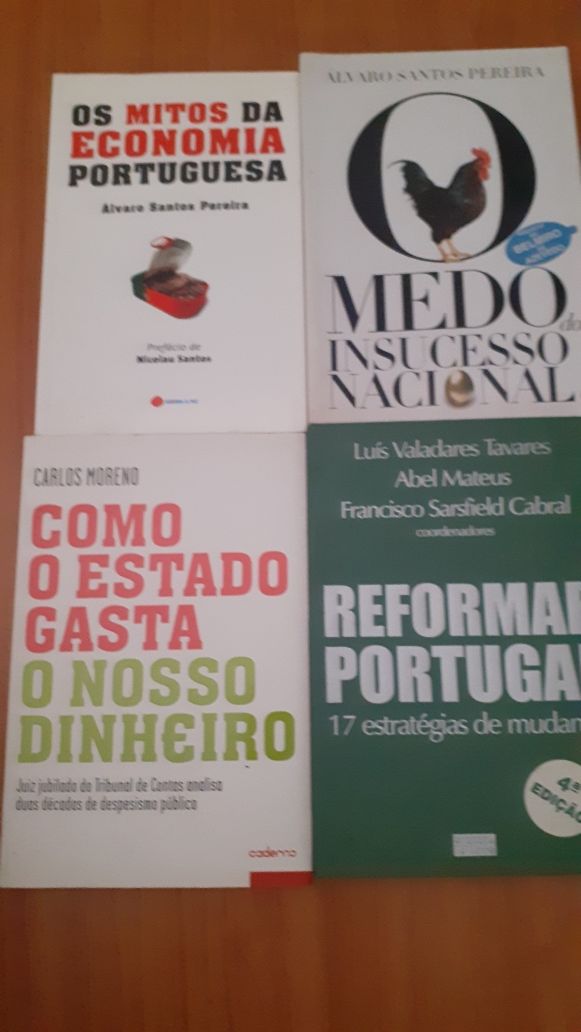 Literatura sobre economia e gestão