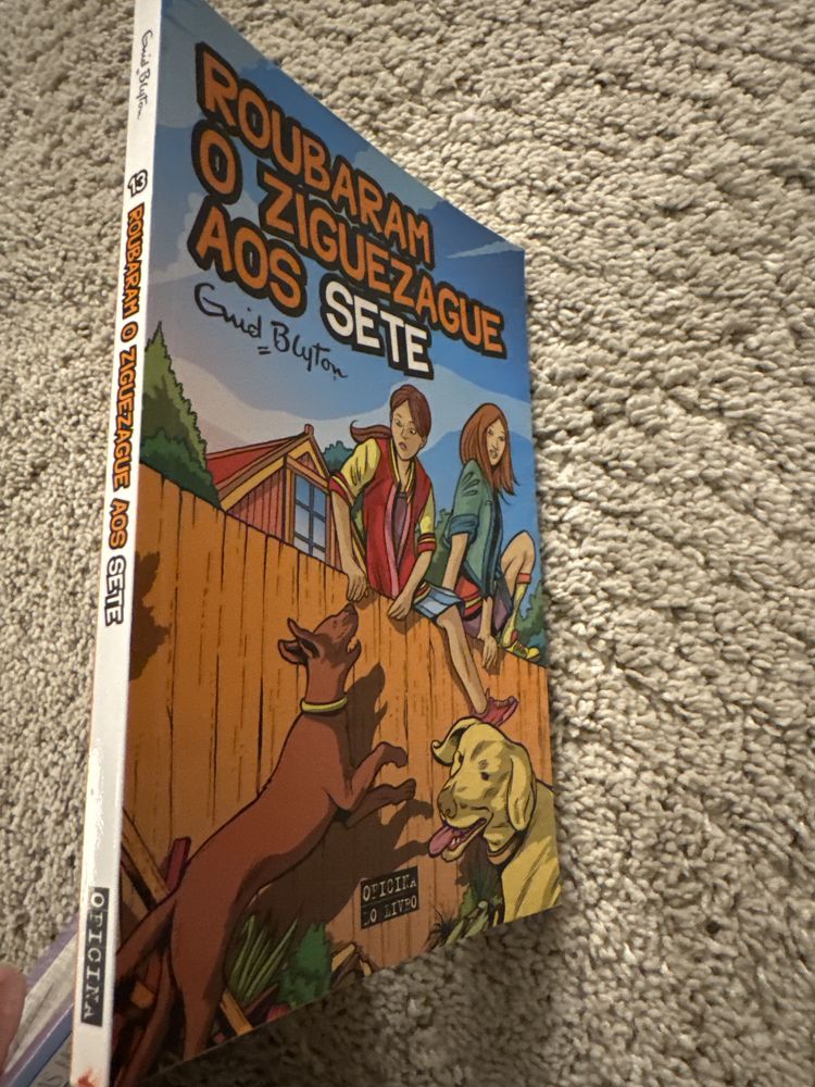 Livro Roubaram o Ziguezague aos Sete
