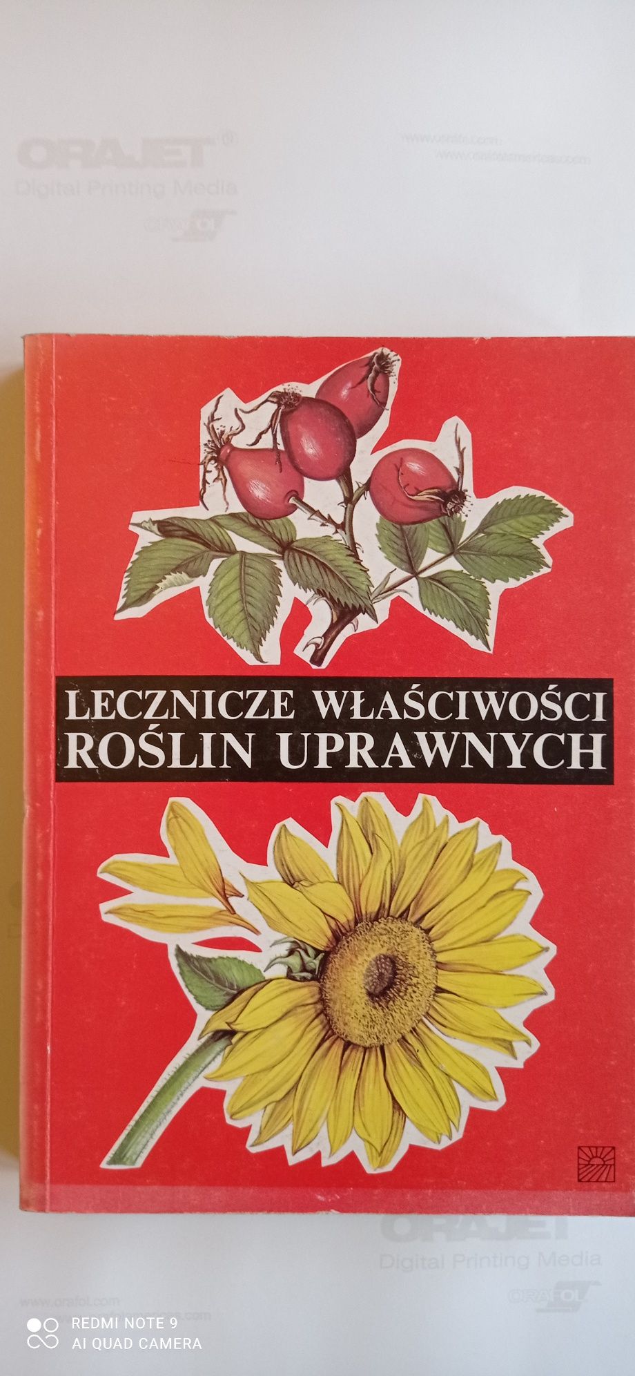 Lecznicze właściwości roślin uprawnych