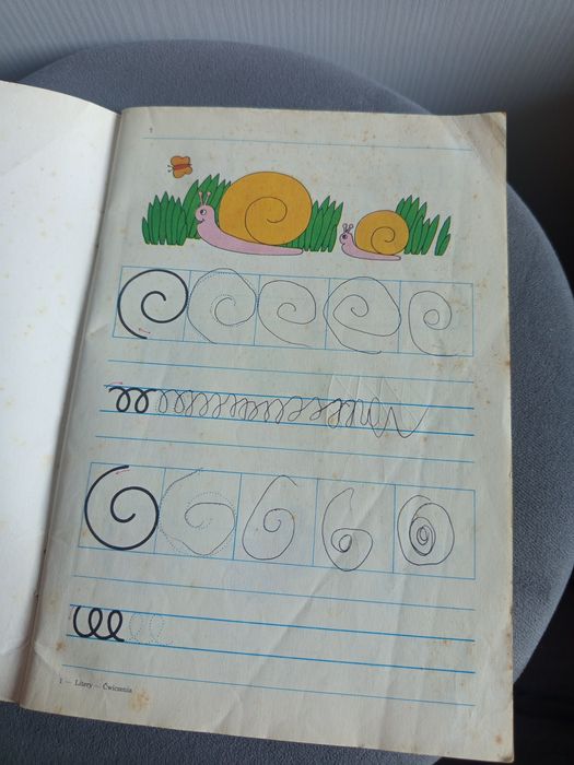 Litery ćwiczenia Ewa i Feliks Przyłubscy WSiP