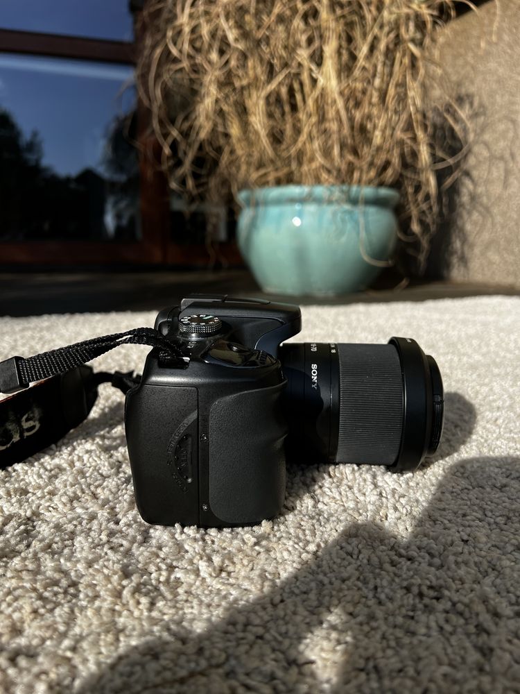 Sony Alpha DSLR-A100