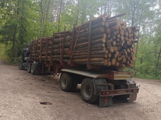 Scania 6x4 do drewna drzewa lasu dłużycy