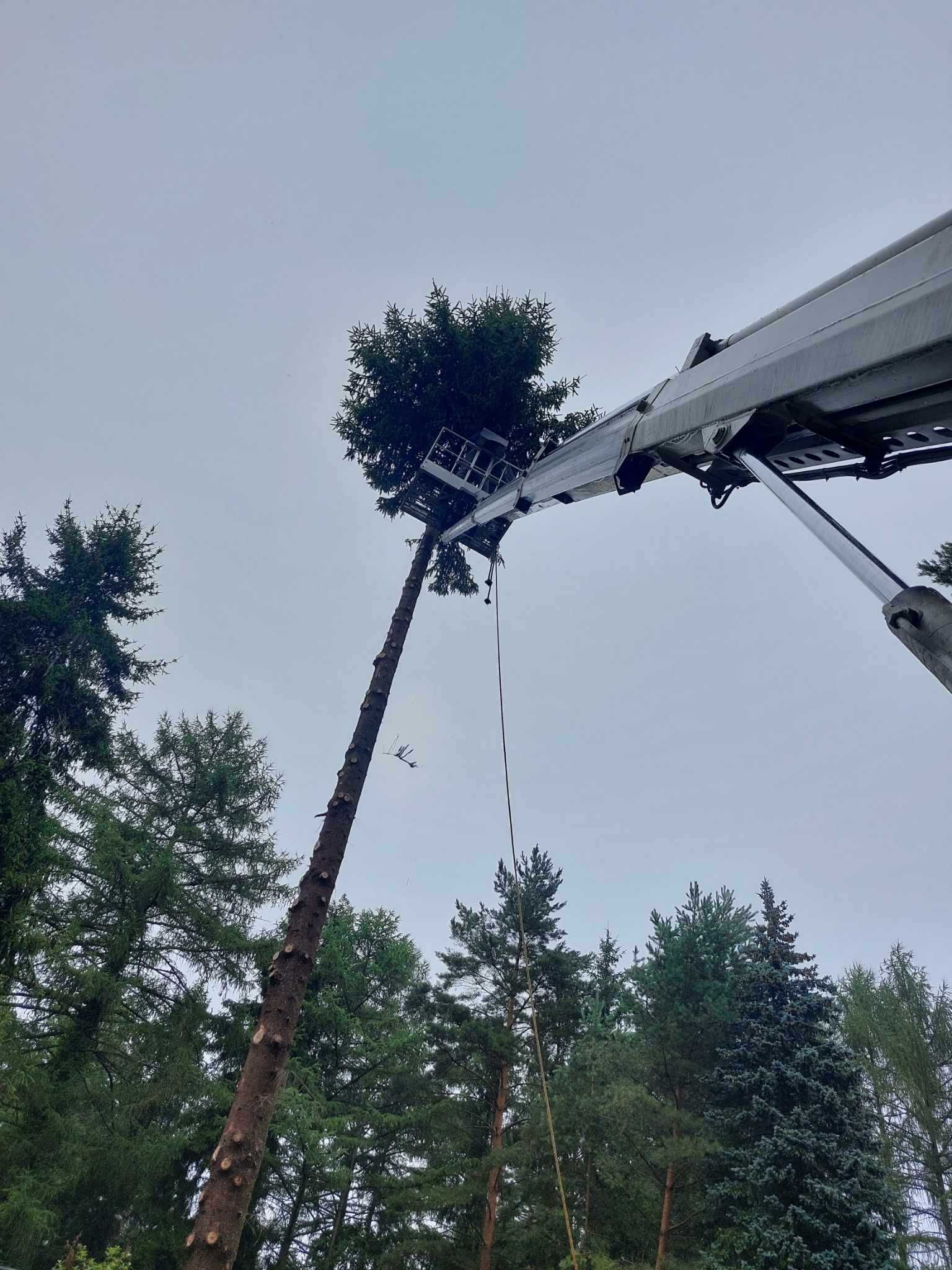 Usługi podnośnik koszowy całe łódzkie