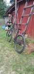 Rower MTB 29,25 Cali Univega
