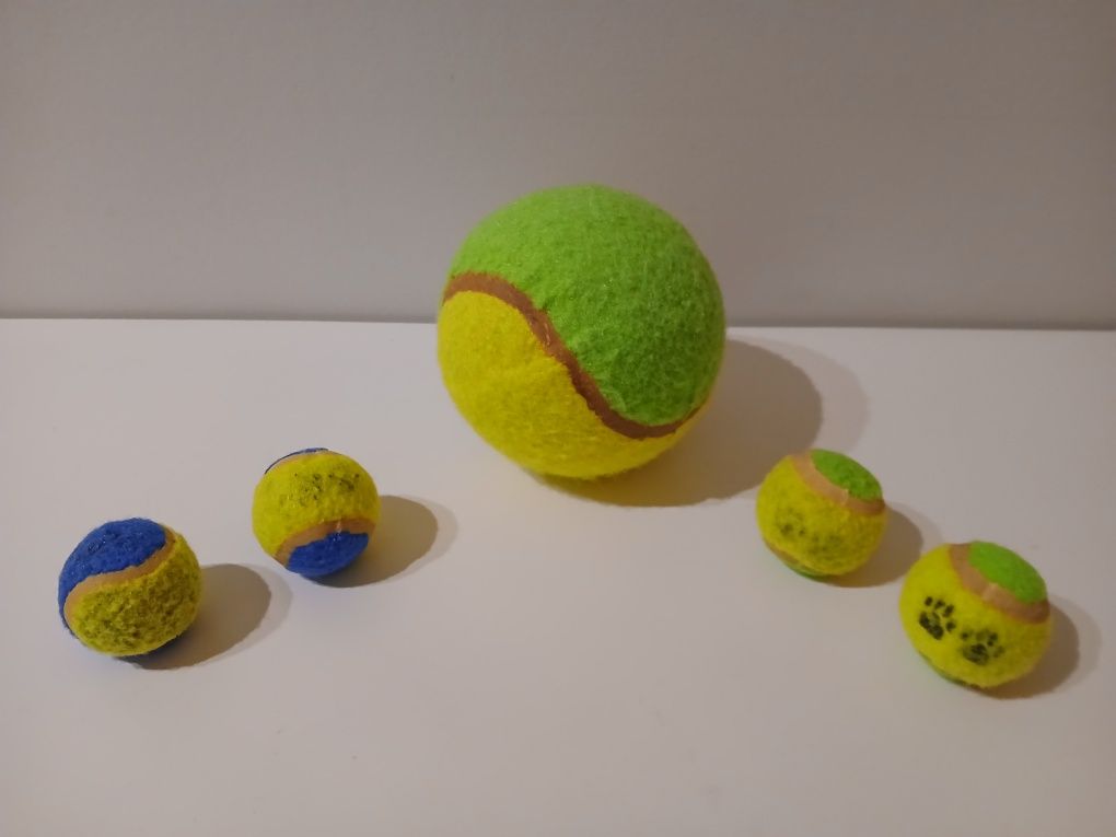 Bolas de brincar para animais