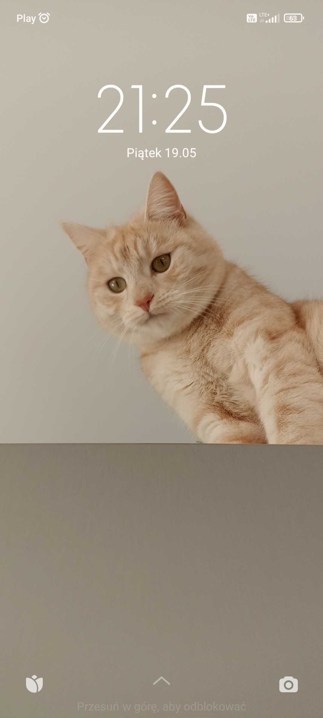 Lola szuka domku