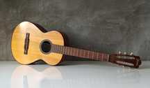 1971 - Framus Rio 5/14 Массив. Германия