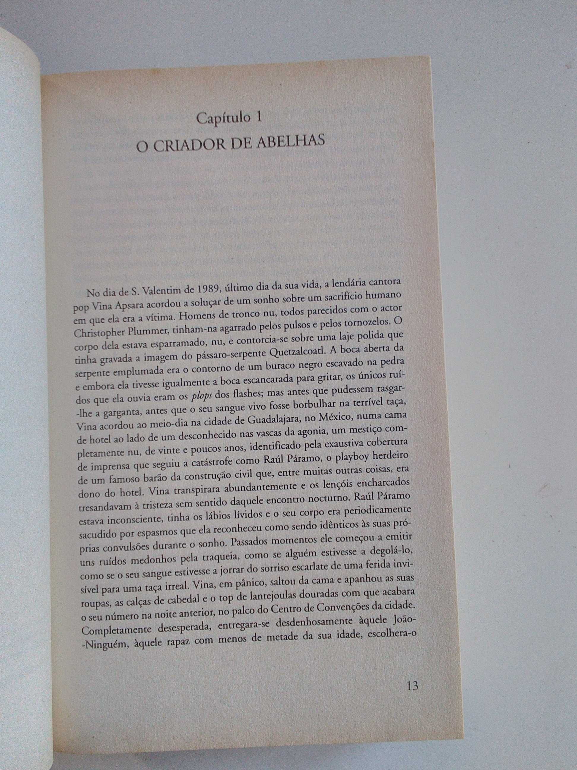 O Chão que ela pisa por Salman Rushdie