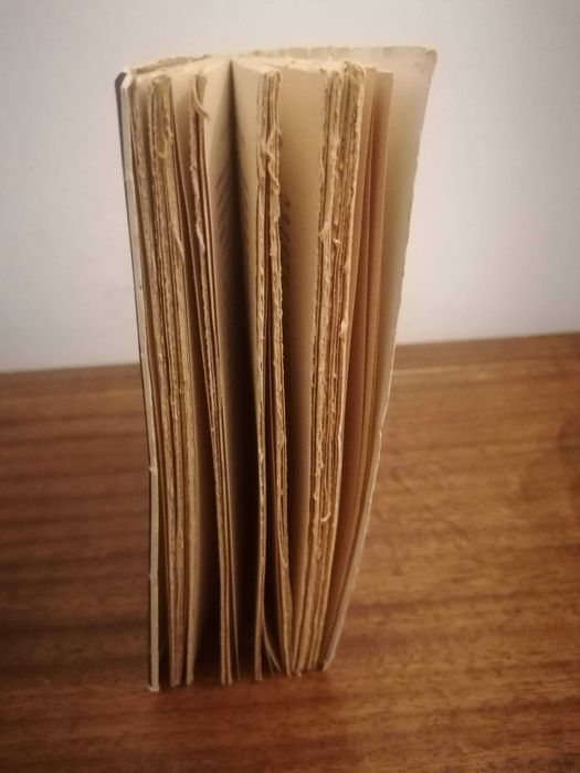 Livro “Os 295 dias que abalaram a França” de Acúrcio Pereira