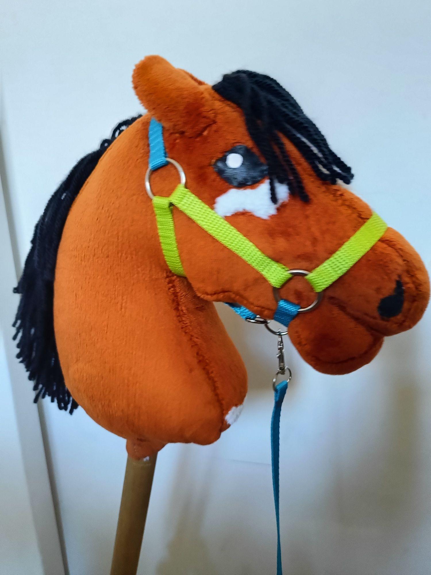 Hobby horse A4 rudy
