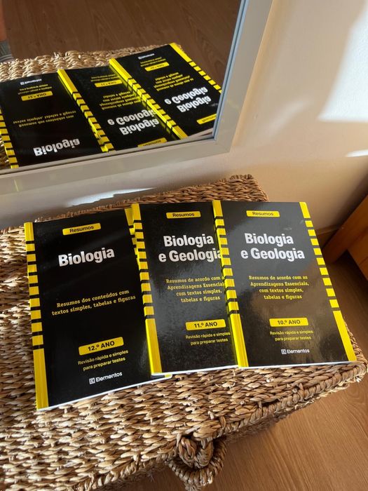 Conjunto de 3 livros de resumos de biologia e geologia 10, 11 e 12 ano
