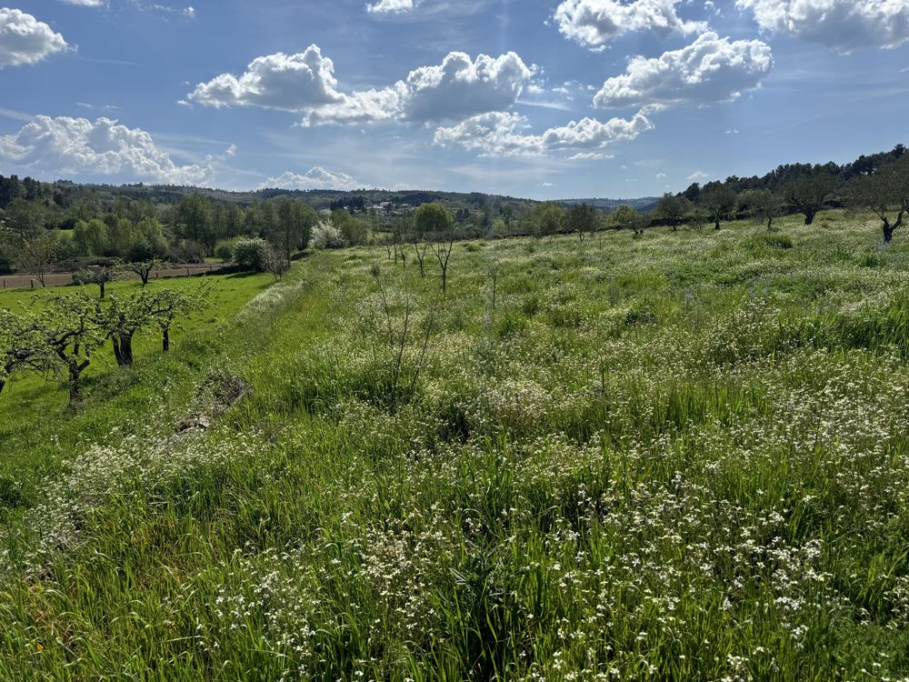 Terreno rustico entre Falachos e vale seixo